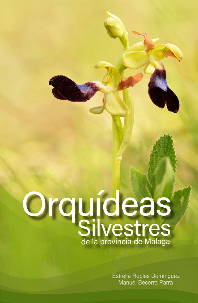 9788412706413 Imagen principal del producto