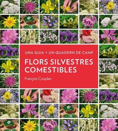 9788413560533 Imagen principal del producto