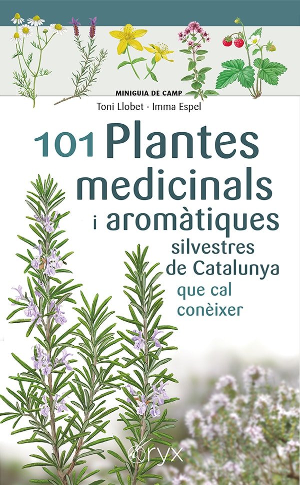 9788413562209 Imagen principal del producto