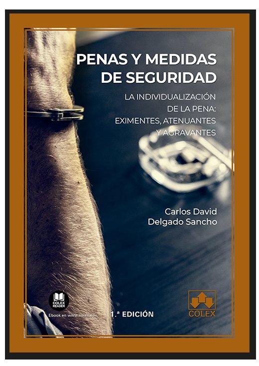 PENAS Y MEDIDAS DE SEGURIDAD - 9788413590578
