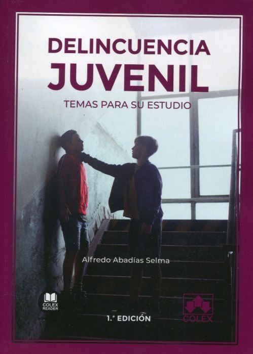 DELINCUENCIA JUVENIL TEMAS PARA SU ESTUDIO - 9788413591711 Imagen principal del producto