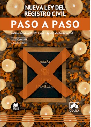 NUEVA LEY DEL REGISTRO CIVIL PASO A PASO - 9788413592497