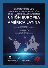 EL FUTURO DE LOS PROCESOS DE INTEGRACION EN EL MARCO DE LAS - 9788413595368