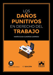 LOS DAÑOS PUNITIVOS EN EL DERECHO DEL TRABAJO - 9788413595481
