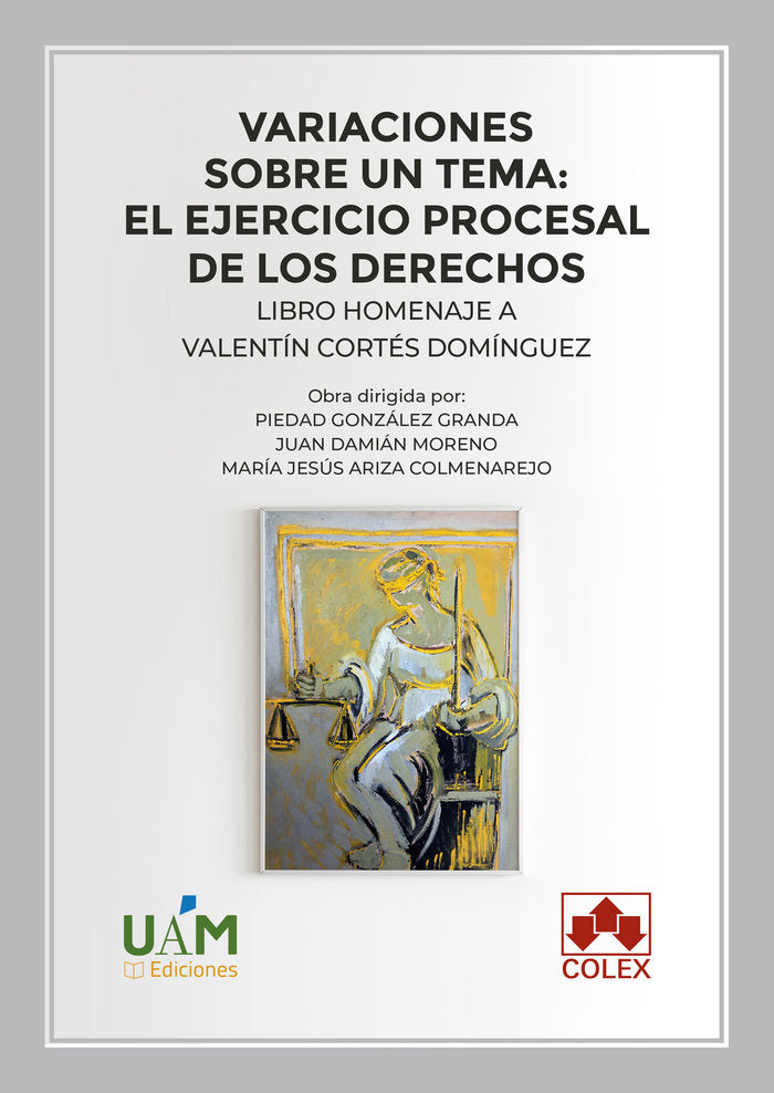 VARIACIONES SOBRE UN TEMA EL EJERCICIO PROCESAL DE LOS DERE - 9788413596723 Imagen principal del producto