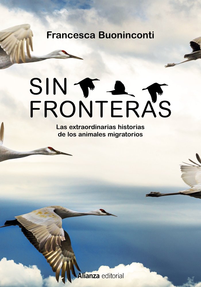 SIN FRONTERAS - 9788413625300 Imagen principal del producto