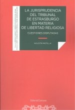 JURISPRUDENCIA DEL TRIBUNAL DE ESTRASBURGO EN MATERIA DE LI - 9788413691190 Imagen principal del producto