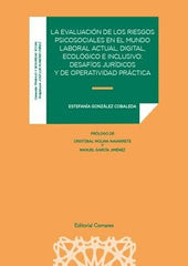 LA EVALUACION DE LOS RIESGOS PSICOSOCIALES EN EL MUNDO LABO - 9788413692630