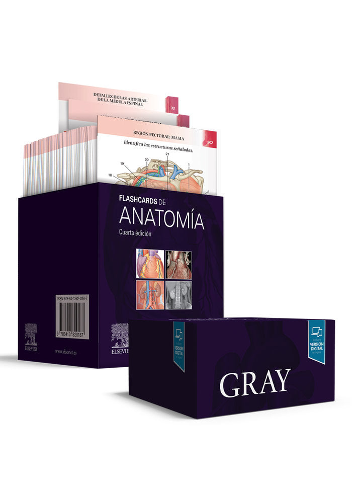 GRAY FLASHCARDS DE ANATOMIA - 9788413820187 Imagen principal del producto