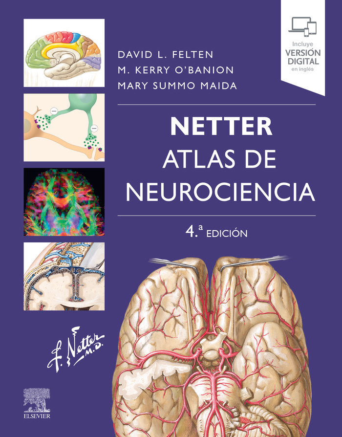 NETTER ATLAS DE NEUROCIENCIA 4ª ED - 9788413823010 Imagen principal del producto