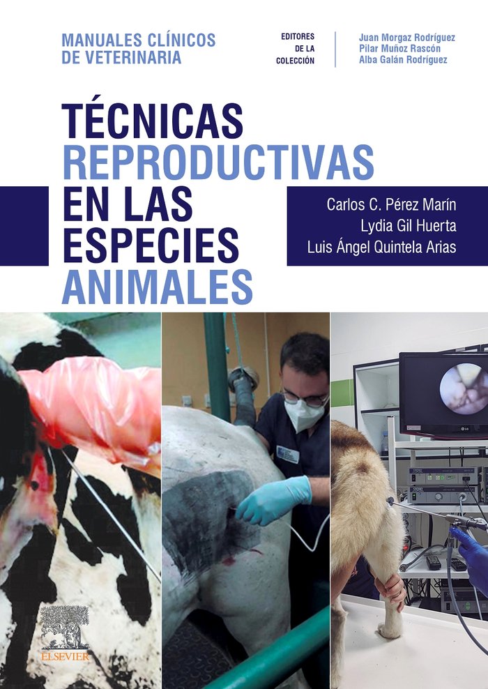 TECNICAS REPRODUCTIVAS EN LAS ESPECIES ANIMALES - 9788413823713 Imagen principal del producto