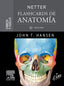 NETTER FLASHCARDS DE ANATOMIA CABEZA Y CUELLO 6ª ED - 9788413823935