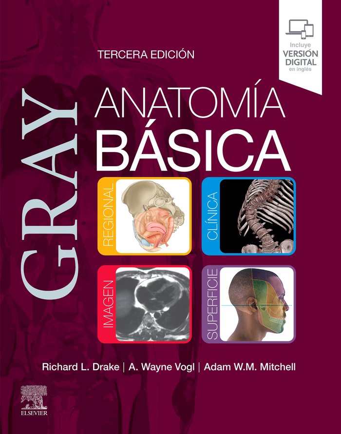 GRAY ANATOMIA BASICA - 9788413825083 Imagen principal del producto
