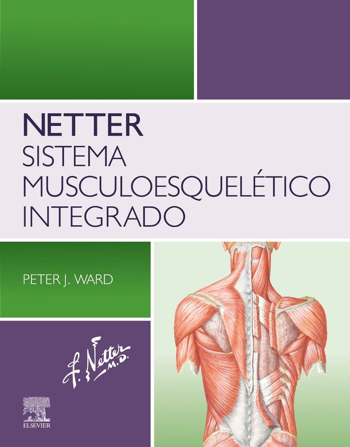 NETTER SISTEMA MUSCULOESQUELETICO INTEGRADO - 9788413825540 Imagen principal del producto