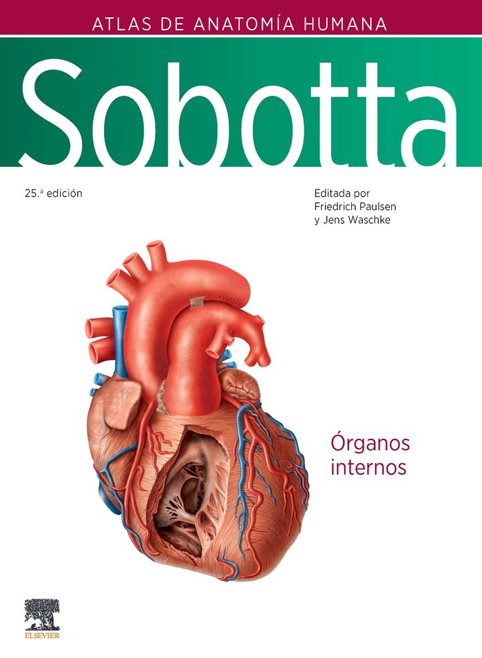 SOBOTTA ATLAS DE ANATOMIA HUMANA VOL 2 25ª ED - 9788413826318 Imagen principal del producto