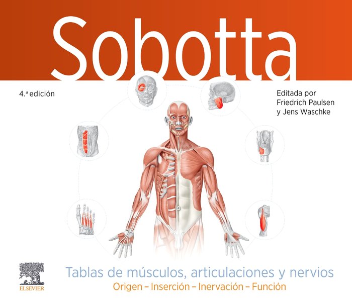 SOBOTTA TABLAS DE MUSCULOS ARTICULACIONES Y NERVIOS 4ª ED - 9788413826325 Imagen principal del producto