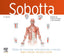 SOBOTTA TABLAS DE MUSCULOS ARTICULACIONES Y NERVIOS 4ª ED - 9788413826325