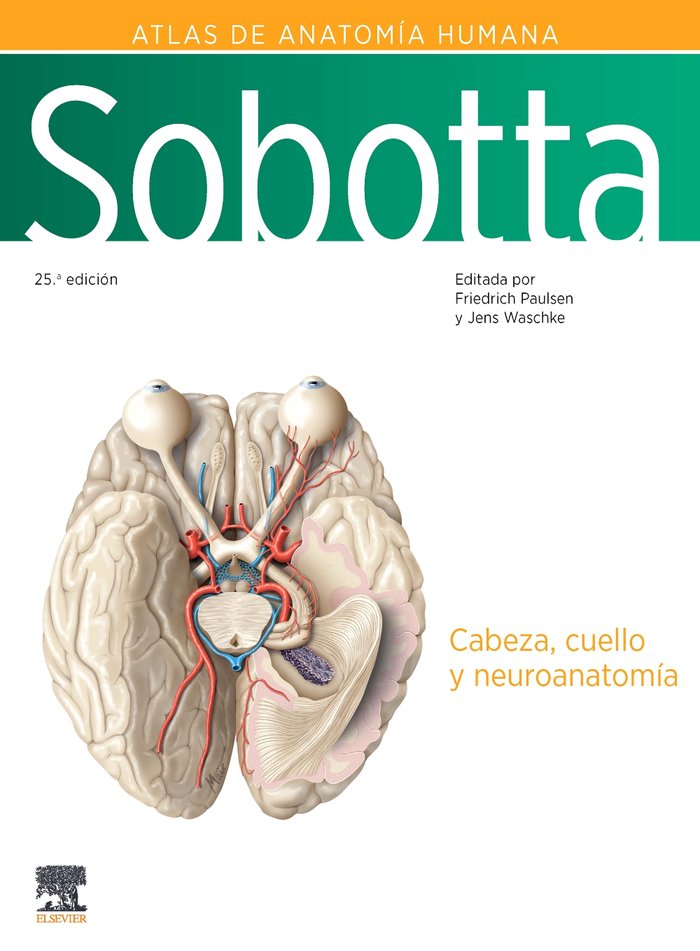 SOBOTTA ATLAS DE ANATOMIA HUMANA VOL 3 25ª ED - 9788413826332 Imagen principal del producto