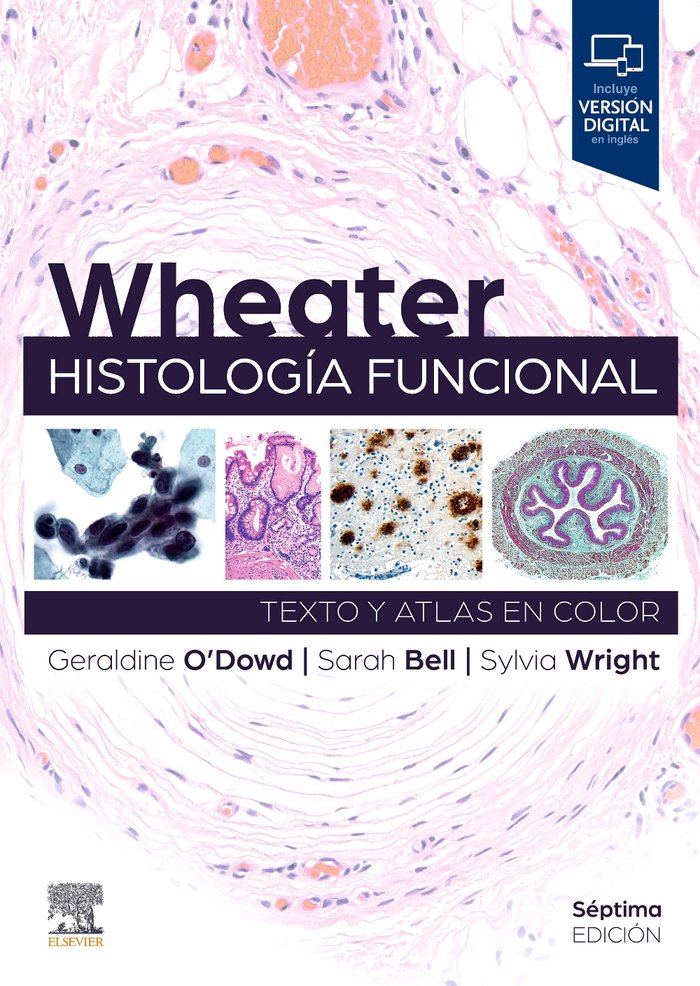 WHEATER HISTOLOGIA FUNCIONAL 7ª ED - 9788413826424 Imagen principal del producto