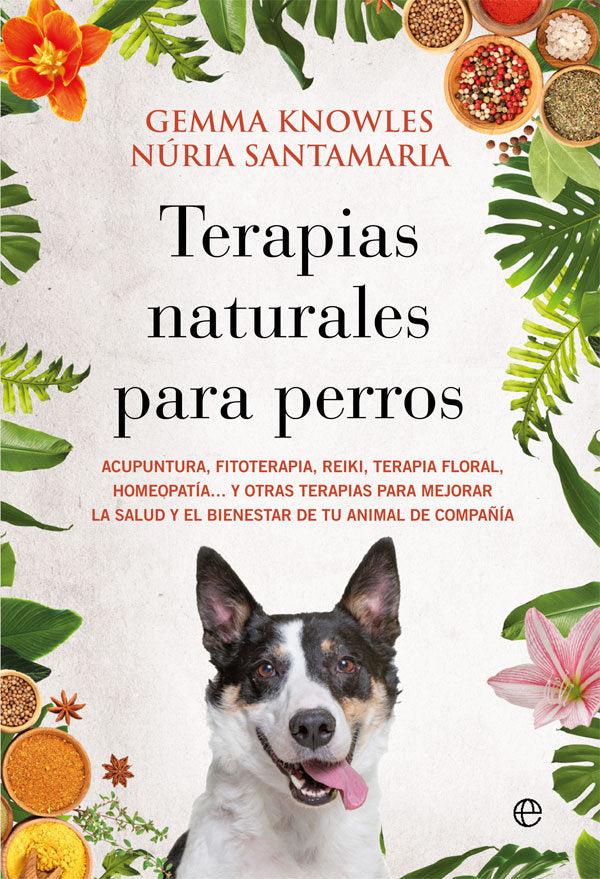 TERAPIAS NATURALES PARA PERROS - 9788413842080 Imagen principal del producto