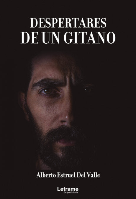 DESPERTARES DE UN GITANO - 9788413861975 Imagen principal del producto