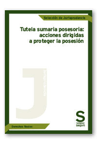 TUTELA SUMARIA POSESORIA ACCIONES DIRIGIDAS PROTEGER POSESI - 9788413880204