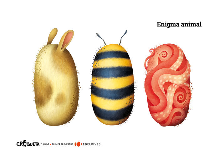 CROQUETA 5AÑOS EI 1oTRIMESTRE 19 | AA,VV | 9788414015827 (Edelvives) Imagen principal del producto