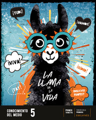 Proyecto: FanFest. Conocimiento del medio 5. Trimestres | Área de Proyectos Educativos de Primaria Edelvives | 9788414037881 (Edelvives)