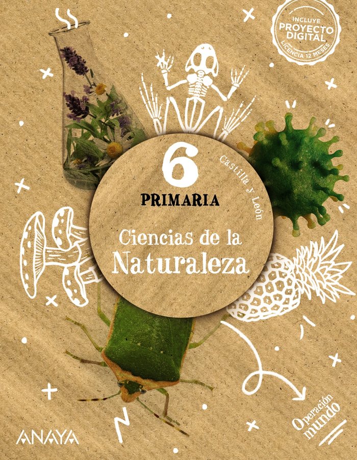 Ciencias de la Naturaleza 6 | Varios autores | 9788414318164 (Anaya Texto) Imagen principal del producto