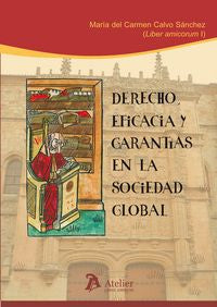 DERECHO EFICACIA Y GARANTIAS EN LA SOCIEDAD GLOBAL - 9788415690238 Imagen principal del producto