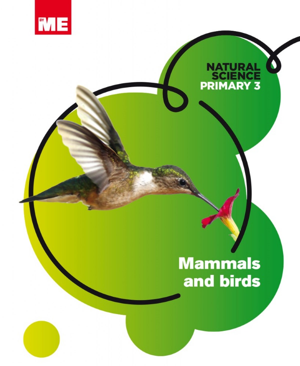 Mammals And Birds 3ºprimaria. Natural Science Modular
