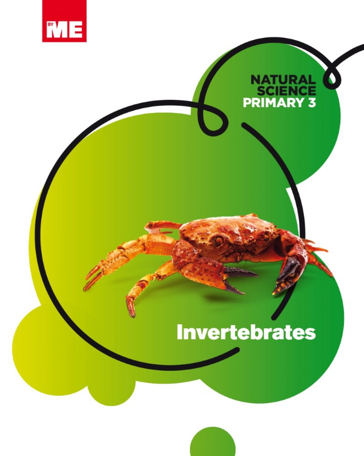 Invertebrates 3ºprimaria. Natural Science Modular