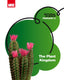 Plants 5ºprimaria. Natural Science Modular