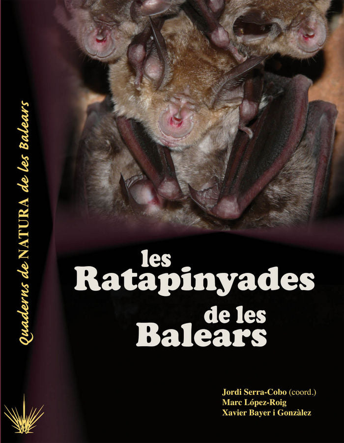 LES RATAPINYADES DE LES ILLES BALEARS - 9788416163434 Imagen principal del producto