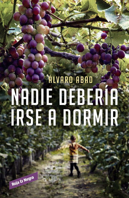 NADIE DEBERA IRSE A DORMIR - 9788416195220