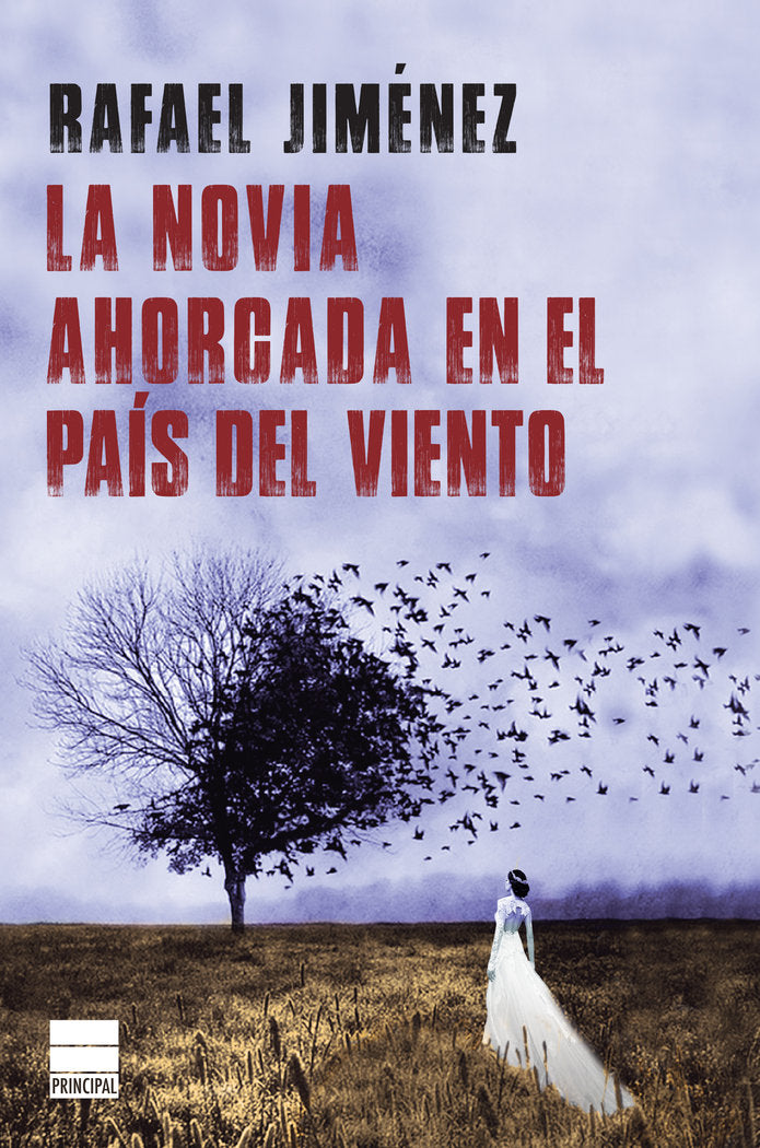 NOVIA AHORCADA EN EL PAIS DEL VIENTOLA - 9788416223817 Imagen principal del producto