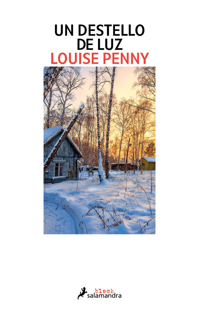 UN DESTELLO DE LUZ - 9788416237326 Imagen principal del producto