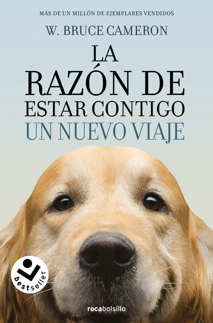 TU MEJOR AMIGO UN NUEVO VIAJE - 9788416240999 Imagen principal del producto