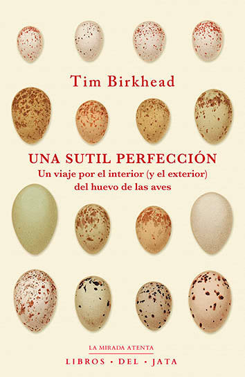 UNA SUTIL PERFECCION - 9788416443086 Imagen principal del producto