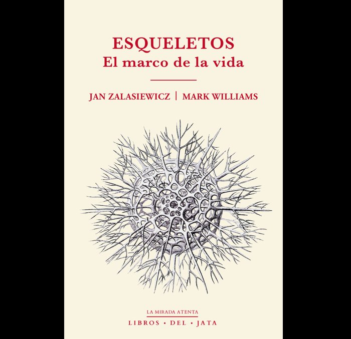 ESQUELETOS - 9788416443154 Imagen principal del producto