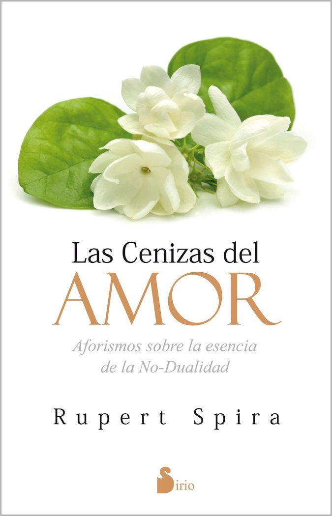 CENIZAS DEL AMORLAS - 9788416579525 Imagen principal del producto