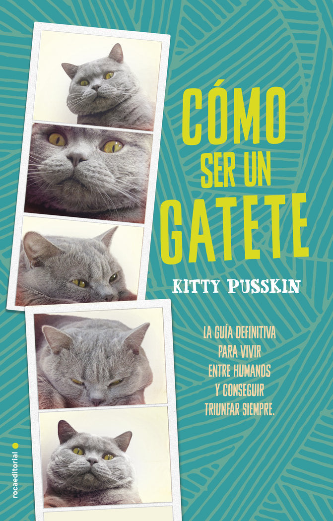 COMO SER UN GATETE - 9788416700592 Imagen principal del producto