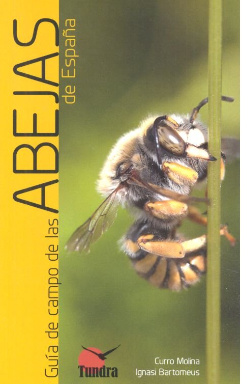 GUIA DE CAMPO DE LAS ABEJAS DE ESPAÑA - 9788416702770 Imagen principal del producto