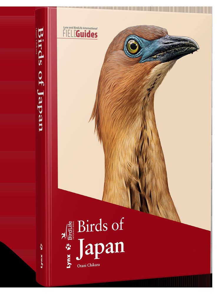 BIRDS OF JAPAN - 9788416728121
