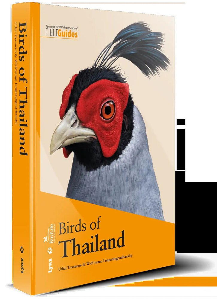 BIRDS OF THAILAND - 9788416728220 Imagen principal del producto