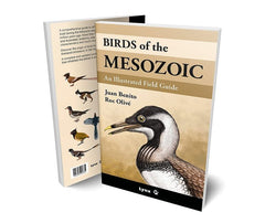 BIRDS OF THE MESOZOIC - 9788416728527