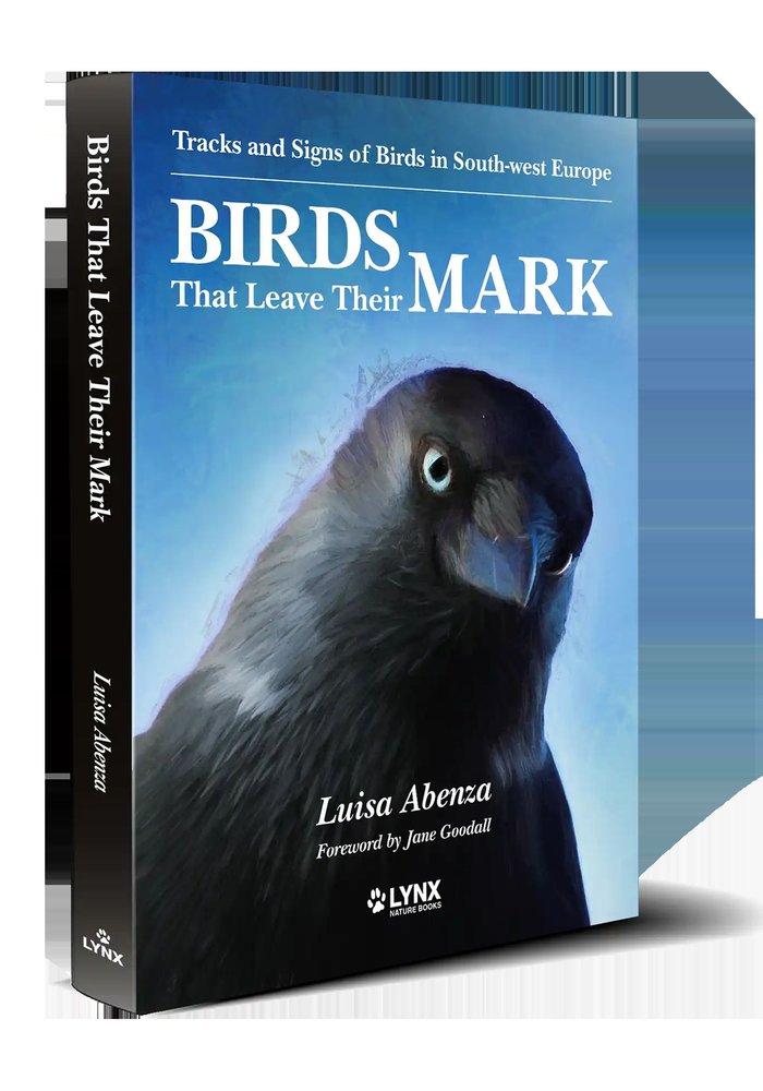BIRDS THAT LEAVE THEIR MARK - 9788416728626 Imagen principal del producto