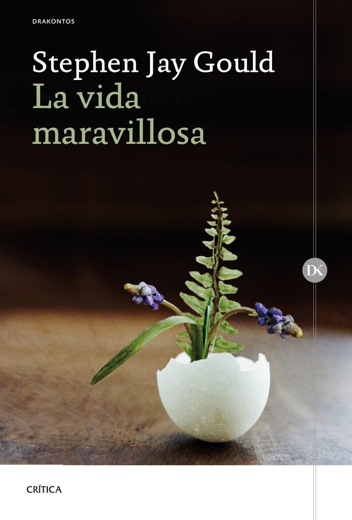 VIDA MARAVILLOSALA - 9788417067687 Imagen principal del producto