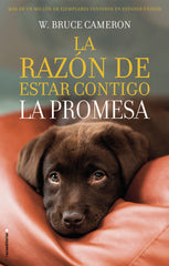 LA RAZON DE ESTAR CONTIGO LA PROMESA - 9788417167103