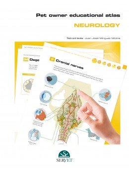 PET OWNER EDUCATIONAL ATLAS NEUROLOGY - 9788417225841 Imagen principal del producto